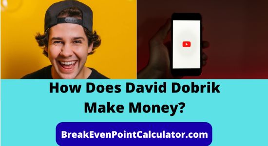 How Does David Dobrik Make Money Business Model Explained
