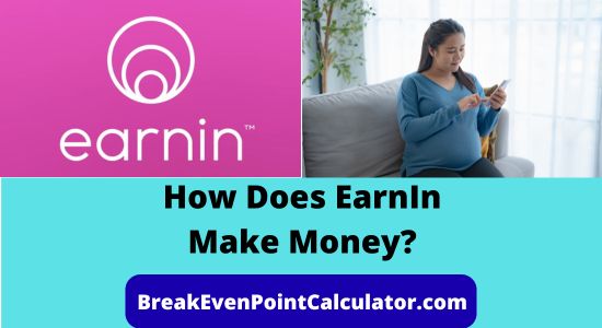 How Does EarnIn Make Money Business Model Explained