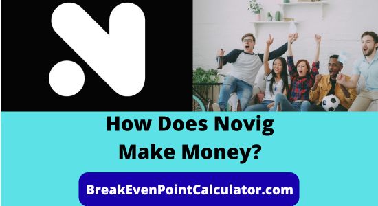 How Does Novig Make Money Business Model Explained