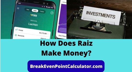 How Does Raiz Make Money Business Model Explained