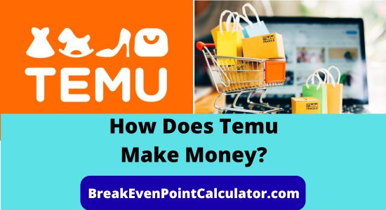 How Does Temu Make Money Business Model Explained